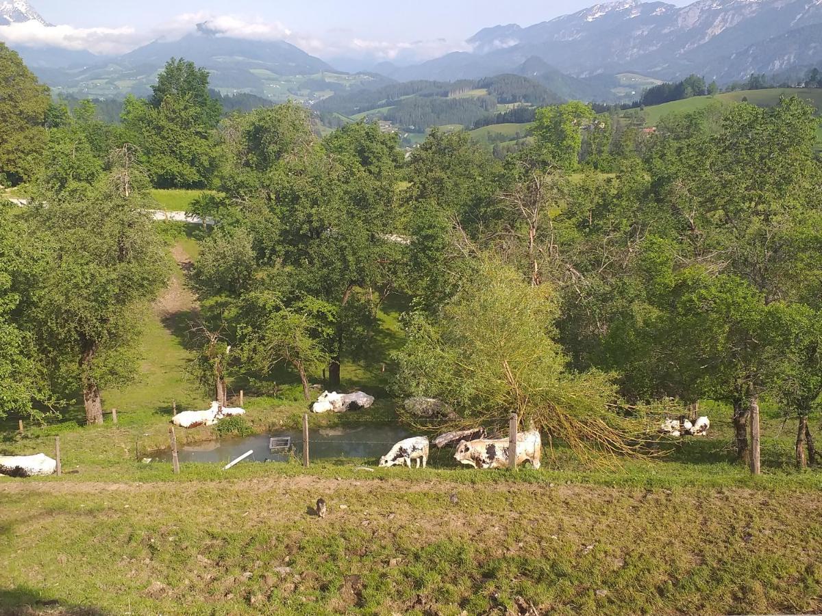 ספיטל אם פיהרן Landhotel Oberwengerhof מראה חיצוני תמונה